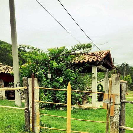 KršanHouse Lana公寓 外观 照片