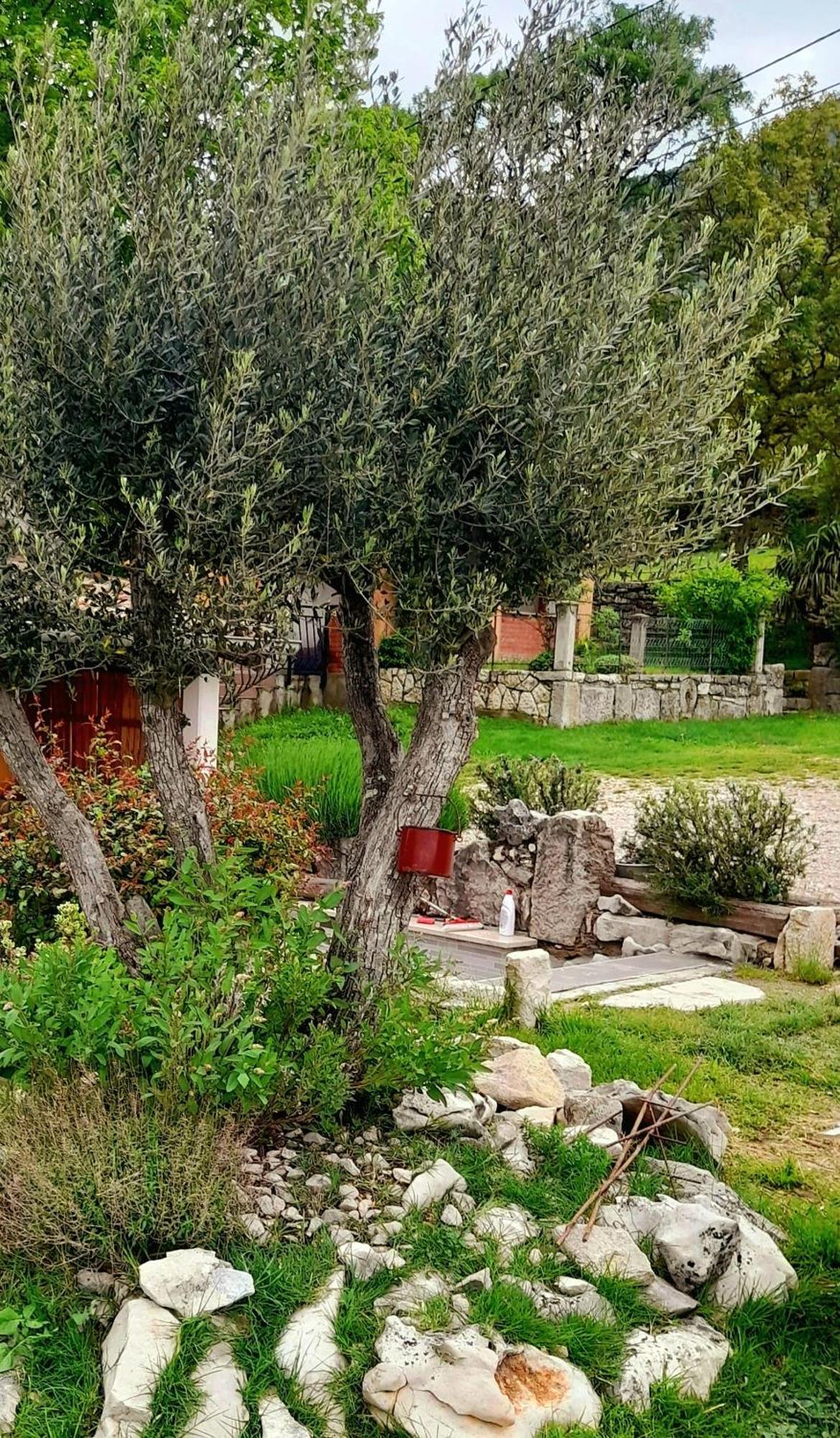 KršanHouse Lana公寓 外观 照片